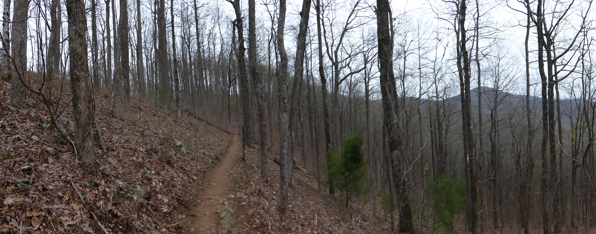 Approach Trail, Georgia
