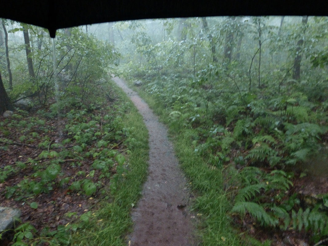 Rain on the Appalachian Trail