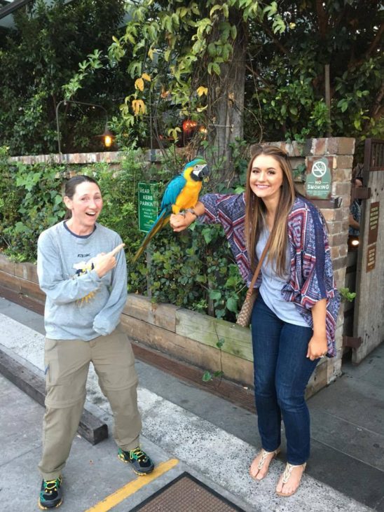 The restaurant had a parrot that anyone could just walk up and hold. 