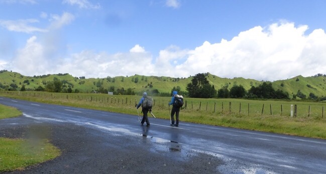 Day 38: The Road Walk to Taumarunui