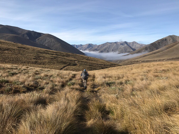 Day 88: The Day The Tussock Swallowed Me